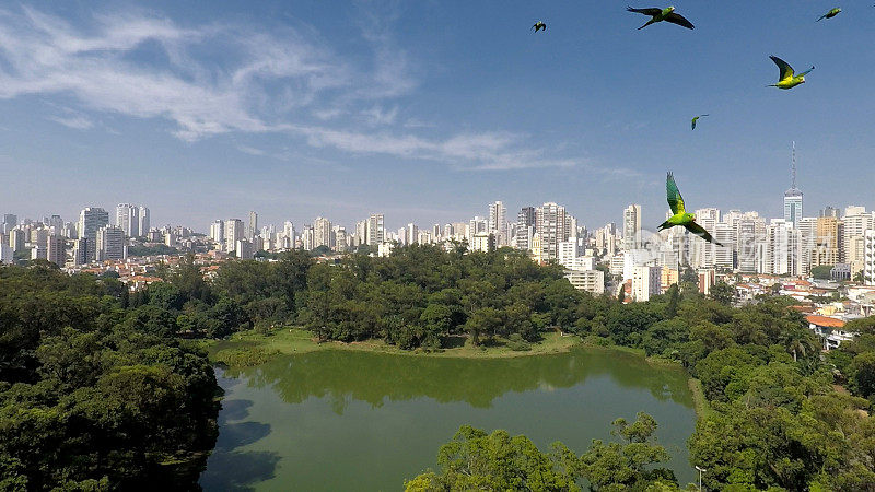 Aclimacao公园- São Paulo，巴西